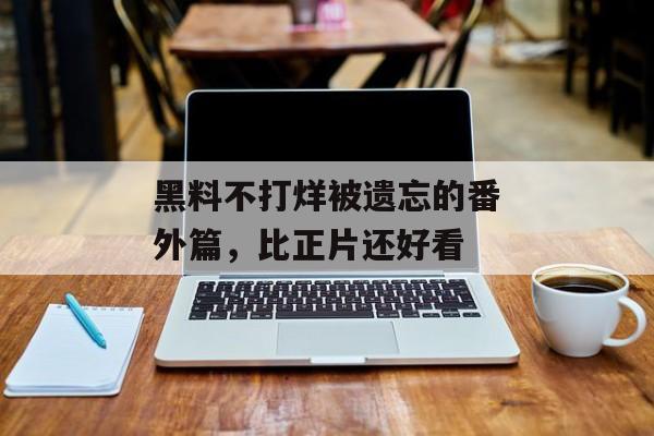 黑料不打烊被遗忘的番外篇，比正片还好看